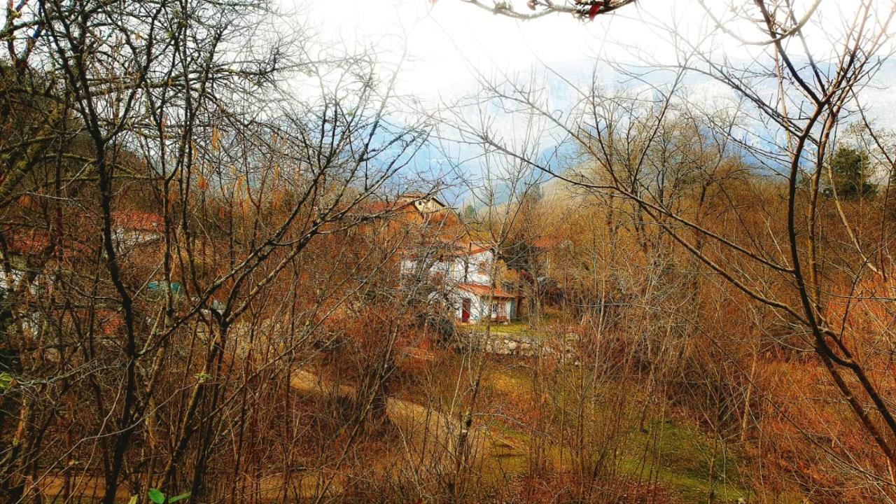 Hotel Rural La Tahona De Besnes Аренас-де-Кабралес Экстерьер фото